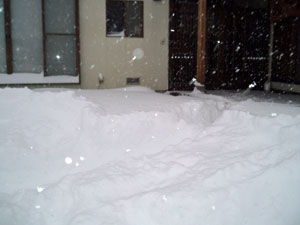 100206大雪.jpg